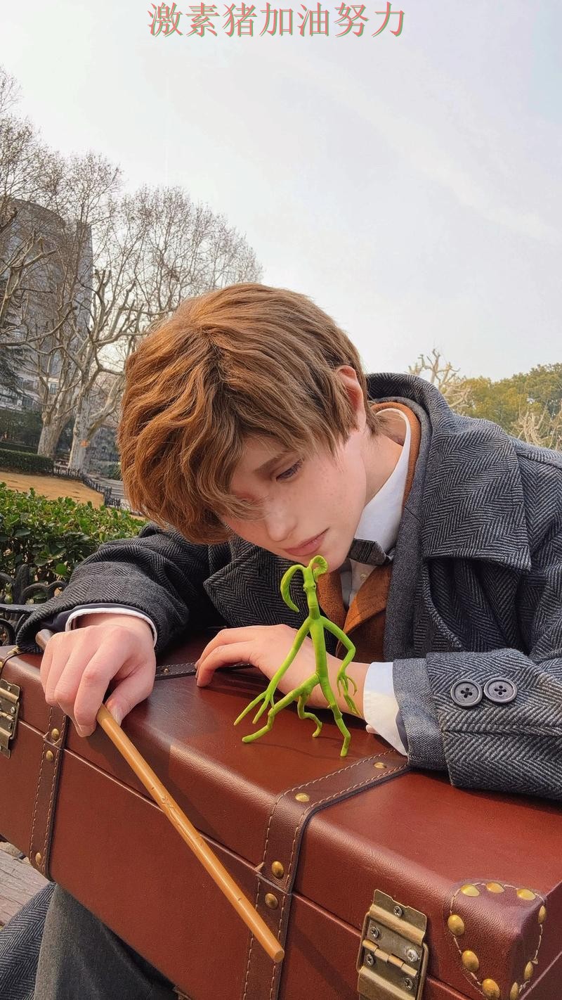 纽卡斯尔临危救主备受关注